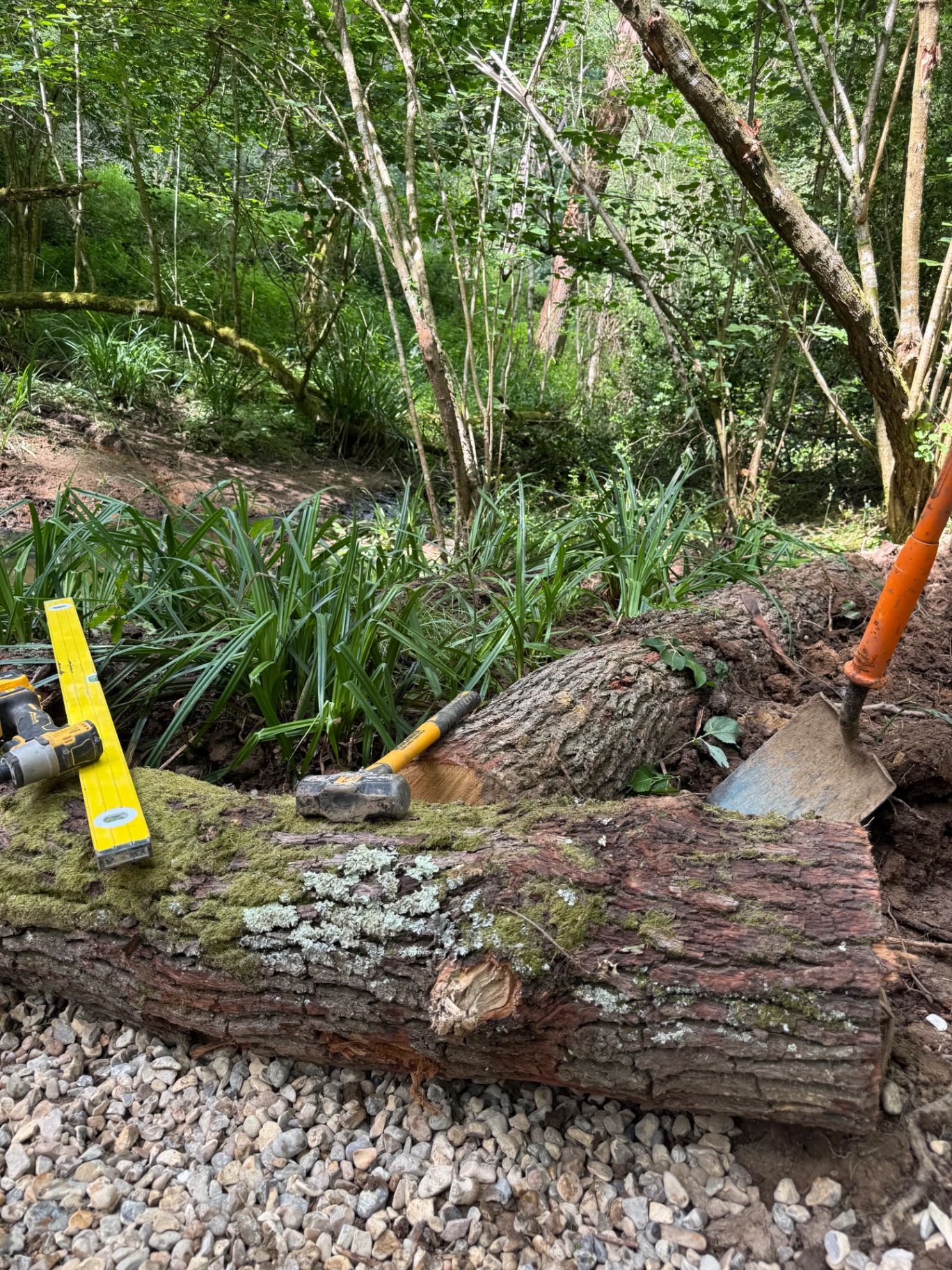 Hand tools and level resting on a felled log used as path edging