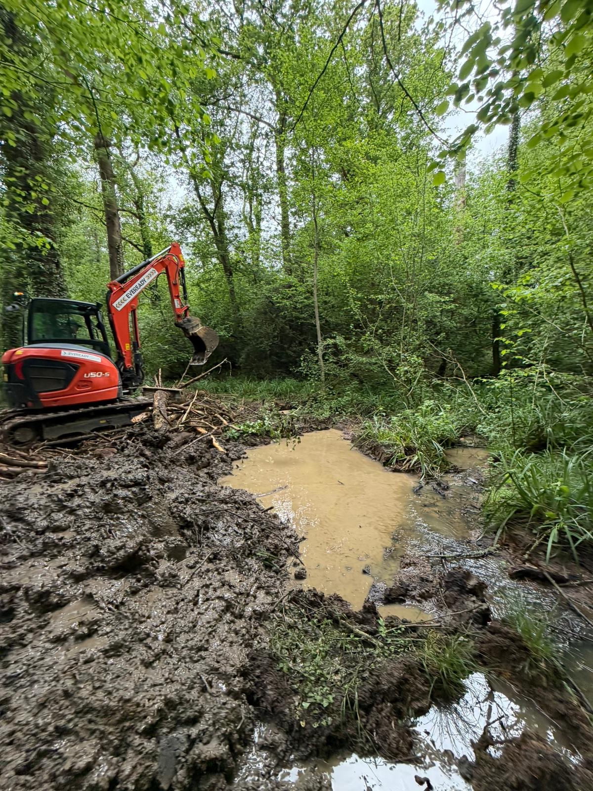 Kubota excavator at work in woodland