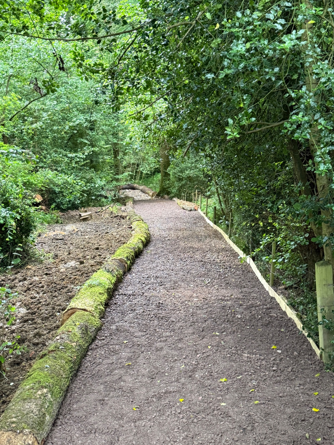 Finished woodland path with timber edging and gravel surface